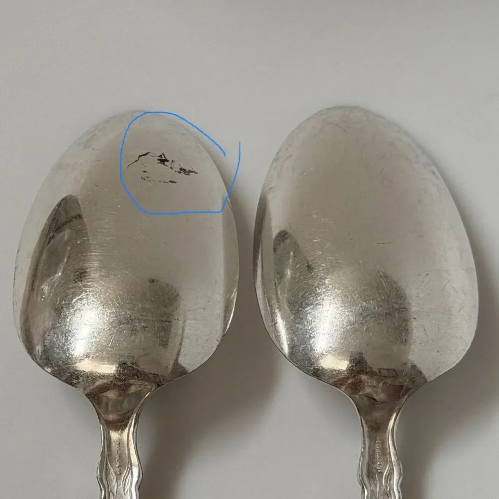 2pc Antique Oneida Narcissus Silverplate 1908 Oxford Serving Spoons 9 1/8”